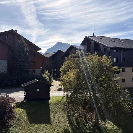 Appartement Les Carroz D'arâches, 1 Pièce, 4 Personnes - Fr-1-572-61 *